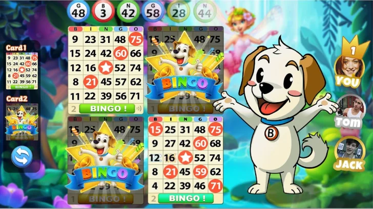 ビンゴの旅 - 人気のカジノゲーム